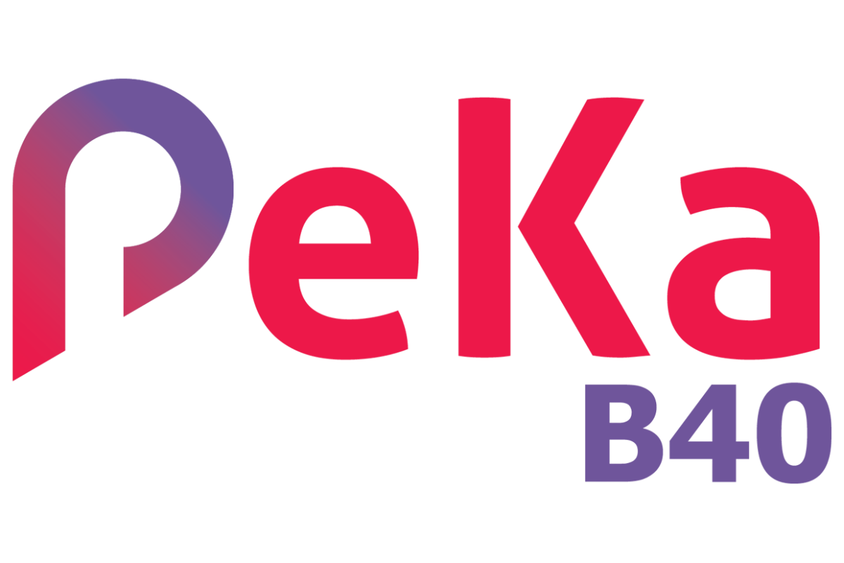 Logo PEKA B40